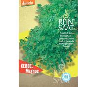 ReinSaat Cerfeuil "Magnus" - 1 sachet