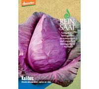 ReinSaat Chou Rouge "Kalibos" - 1 sachet