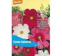 ReinSaat Cosmos Bipenné - Mélange - 1 sachet