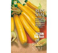 ReinSaat Courgette "Gold Rush" - 1 sachet