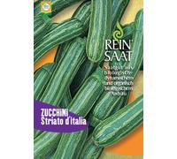 ReinSaat Courgette "Striato d´Italia" - 1 sachet