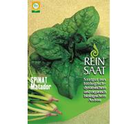 ReinSaat Épinard "Matador" - 1 sachet
