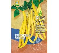 ReinSaat Haricot Beurre 'Neckargold'' - 1 sachet