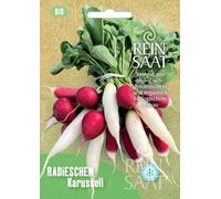 ReinSaat Mélange de Radis - 1 sachet