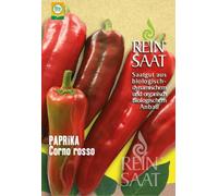 ReinSaat Poivron "Corno Rosso" - 1 sachet