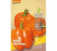 ReinSaat Poivron "Cubo Orange" - 1 sachet