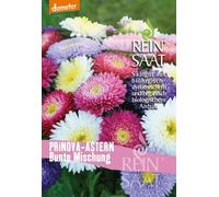 ReinSaat Reine-Marguerite - Mélange - 1 sachet