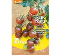 ReinSaat Tomate Cerise "Black Cherry" - 1 sachet