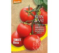 ReinSaat Tomate "Ricca" - 1 sachet
