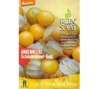 ReinSaat Variété Rare - Coqueret du Pérou "Schönbrunner Gold" - 1 sachet