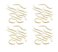 Reinscer 40 pièces 12 pièces inachevées serpent articulé flexible serpent vide modèle animal modèle jouet pour l'art