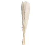 Reinscer 40 PièCes SéRies Herbe de Pampa Blanche SéChéE 45 CM Moelleux et Oscillant Bricolage Boho Plante pour Mariage Arrangements de Fleurs DéCor