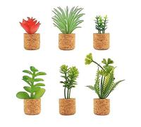 Reinscer 6 Pcs Cactus Réfrigérateur Aimants Mini Plante Succulente Mignonne Réfrigérateur Aimant Décoration Pièces de Rechange pour Cuisine Bureau