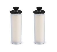 Reinscer Cartouche de Détartrage de Purificateur d'eau de Nettoyeur à Vapeur pour SC2 SC3 Filtre 2 Pièces