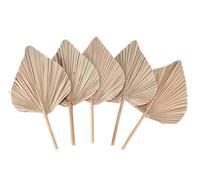 Reinscer DéCoration de Chambre en Feuilles de Palmier SéChéEs 5 PièCes - 45,7 Cm H X 25,4 Cm L Grand DéCor de Feuilles de Palmier Naturel pour Un Beau Look BohèMe