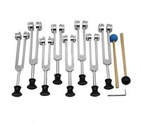 Reinscer Kit de diapason de guérison par le son (126,22 Hz, 136,1 Hz, 141,27 Hz, 172,06 Hz, 194,18 Hz, 210,42 Hz, 221,23 Hz) - Argenté