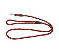 Reinscer Laisse en Cuir Artificiel Tresse pour Chien - S