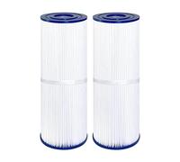 Reinscer Lot de 2 filtres Spa C-4326, FC-2375, PRB25-IN, 303909, M-4326, 8172500, R173429