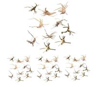 Reinscer Lot de 40 mini bois flotté pour aquarium - Branches naturelles - Décoration d'aquarium - Tronc en bois flotté assorti