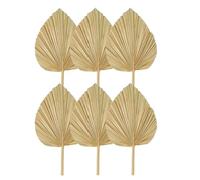 Reinscer Lot de 6 feuilles de palmier séchées naturelles - Grande de palmier pour décoration de mariage bohème, décoration de feuilles de palmier tropicales, , facile à utiliser - S