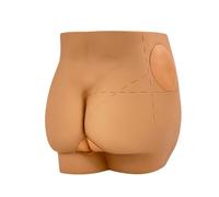 Reinscer Modèle anatomique de l'articulation de la hanche humaine pour injection intramusculaire, ponction de soins fessiers, outils pédagogiques médicaux
