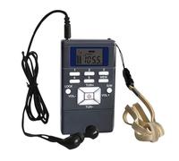 Reinscer Radio FM numérique, mini haut-parleur, récepteur portable, affichage, lecteur de musique à bande , affichage LED, gris argenté