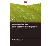 Réinsertion Des Adolescents Délinquants