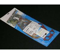 Reinz 01-23455-05 Jeu complet de joints d'étanchéité, moteur