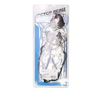 REINZ 02-36015-05 Jeu de joints d'étanchéité, culasse de cylindre