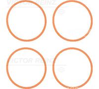 REINZ 11-37616-01 Kit de joints pour collecteur d'admission