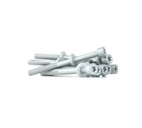 REINZ 14-32037-01 Jeu de vis de culasse