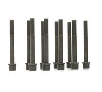 Reinz Kit pour boulon de culasse 14-32159-01