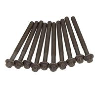 Reinz Kit de boulons de culasse 14-32231-01