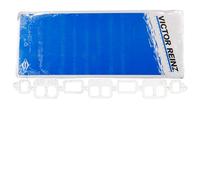 Reinz 71-24663-20 Joint d'étanchéité, collecteur d'admission/d'échappement