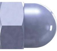 Reisser 31786 Écrou borgne M10 50 pc(s)