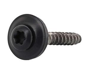 Reisser-Schraubentechnik 02415/0 RAL8019 Lot de 200 vis étanches en acier inoxydable A2 avec tête revêtue 4,5 x 25 mm TX20