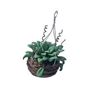 REITINGE Figurine miniature de plante en pot 1/12 pour décoration de maison de poupée, projet de jardin, accessoires de présentation de scène de maison de poupée, accessoires de présentation