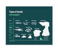 REIUAFWYGV Cloud Types Classification Poster Troposphere Clouds Meteorology Educational Guide Atmospheric Science Reference Canvas Wall-Art for Classroom Decor(Framed,12x18inch(30x45cm))