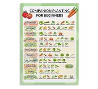 REIUAFWYGV Easy Reference Poster for Companion Planting Cheat Sheet Gift for Gardeners Raised Beds Herb Garden DIY Planter Box(Framed,08x12inch(20x30cm))