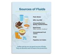 REIUAFWYGV Sources of Fluids Health Education Guide Hydration Awareness Canvas Poster Living Room Decor(Unframed,16x24inch(40x60cm))