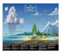 REIUAFWYGV The Water Cycle Poster Canvas Wall-Art Science Classroom Education for Living Room Bedroom Decor(Framed,16x24inch(40x60cm))