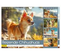 Reizende Chihuahuas. Winzige Hunde mit riesigem Ego und Grips (Wandkalender 2026 DIN A4 quer), CALVENDO Monatskalender: Fröhliche kleine Seelen in zauberhaften Momenten
