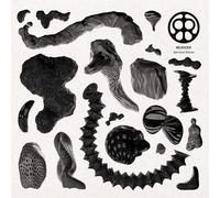 Rejoicer - Vinyle Spiritual Sleaze