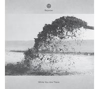 Rejoicer - While You Are There [Vinyl Lp]