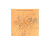 Pat Metheny – Rejoicing – Import (Verve Spa)