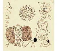 Devendra Banhart - Rejoicing in The Hands