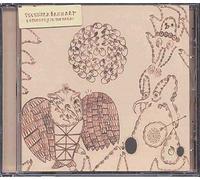 Devendra Banhart - Rejoicing in The Hands