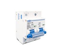 Relais 2P 100A 80A 125A DC MCB 600V disjoncteur for système PV batterie interrupteur principal Interrupteur automatique (Size : 100A)