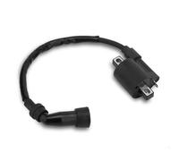 Relais solénoïde Bobine D'allumage Moto Bobine D'allumage Performante pour Moteur RS 2T/4T 100cc