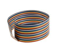 RELAND SUN Lot de 20 câbles plats arc-en-ciel pour connecteur FC 10P/12P/14P/16P/20P/26P/34P/40P/50P 1,27 mm